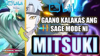 GAANO KA LAKAS ANG SAGE MODE NI MITSUKI | TAGALOG EXPLAIN