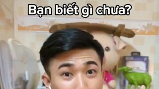 Bạn biết z chưa