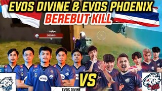 NGERI 🇮🇩vs🇹🇭‼️ EVOS DIVINE & EVOS PHOENIX REBUTAN KILL DI MATCH KEDUA FINAL FFWS 2022 SENTOSA