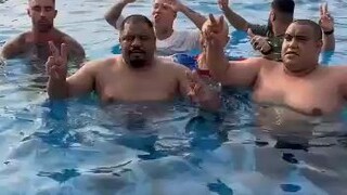 Tiger swimming prank