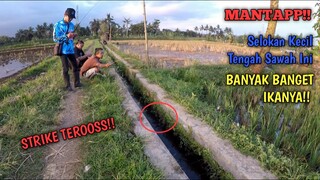 REJEKI NOMPLOK!! Mancing Di Selokan Tengah Sawah Ikanya.. MELIMPAH!!