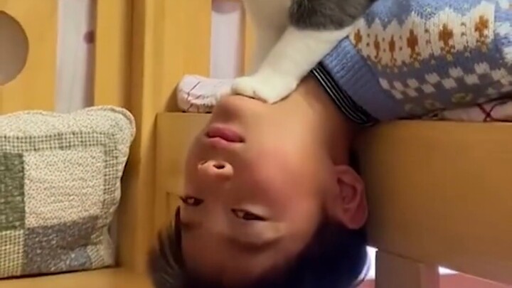 [Quan sát mèo hoang] Kitty, con đang trong giai đoạn nổi loạn phải không? 【Mẹ nhìn thấy con bị đánh】