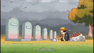 Onepiece phiên bản jang hồ #animehaynhat