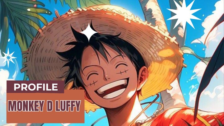 Profile Monkey d Luffy dari anime One Piece