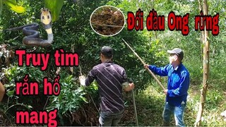 Thành Viên Mới Săn Bắt Ẩm Thực Vùng Cao Đối đầu Rắn Hổ Mang và Ong Rừng Khủng