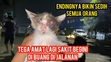 Astagfirullah Anak Kucing Sakit Di Buang Endingnya Bikin Nangis Semua Orang..!