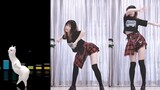 [Dance] Cover Dance Llama | Blackpink - DDU-DUDDU-DU