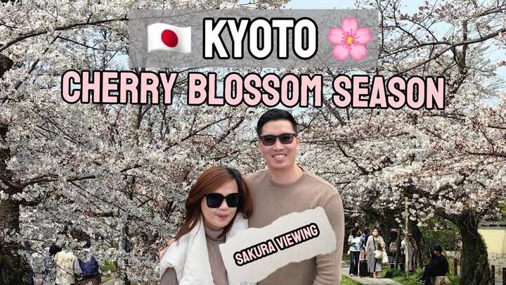 KYOTO CHERRY BLOSSOM SEASON: BEST SPOTS + NIJO  CASTLE NAKED SAKURA FESTIVAL | JAPAN VLOG 2024