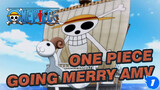 How Many People Remember the Going Merry?_1