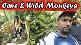 Hindang Cave! // Bats & Monkeys / Filipino Indian Vlog