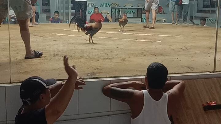 1 hit