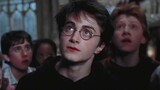 [HP/Dan Niu] Mari kita tinjau penampilan puncak Harry