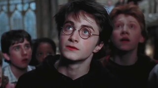 [HP / Đan Nữu] Cùng điểm lại ngoại hình đỉnh cao của Harry