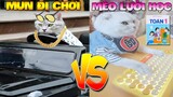 Thú Cưng Vlog | Mèo Và Mun Siêu Quậy #6 | Mèo thông minh vui nhộn | Smart cat funny pets