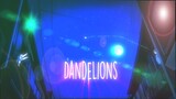 Dandelions - Amv Typography - After Effects