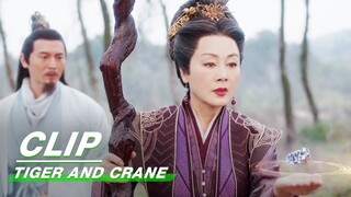 The Big Shopkeeper Tracked and Found Mo Guzi | Tiger and Crane EP16 | 虎鹤妖师录 | iQIYI