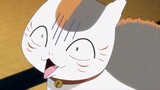 [ Hữu Nhân Sổ - Tsume Yuujinchou ] Cô giáo dạy mèo có lẽ là một con mèo vô dụng ở hiện trường vụ lật