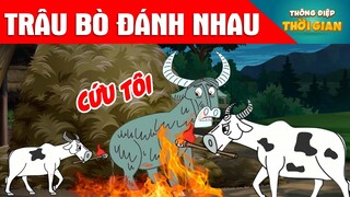 TRUYỆN CỔ TÍCH - TRÂU BÒ ĐÁNH NHAU - PHIM HOẠT HÌNH - KHOẢNH KHẮC KỲ DIỆU - TỔNG HỢP HOẠT HÌNH HAY