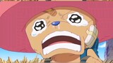 The Straw Hat Pirates - Ship's Doctor Chopper, will not hesitate to become a monster for his friends