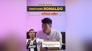 Trả lời  CR7 rất thương Mèo nha cả nhà tuitienpet dcgr pet cat learnontiktok