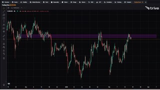 FX DAILY：Trive 看跌欧元/美元