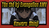 [Tân thế kỷ Evangelion AMV] Kaworu & Shinji - Lang thang giữa đêm vắng