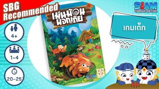 เม่นม้วน ผจญภัย (Hedgehog Roll) - วิธีการเล่นเบื้องต้น | บอร์ดเกม