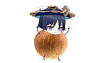 [Genshin Impact] Pengembara: Saya adalah kelapa