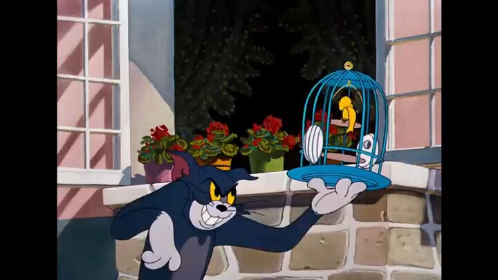 Tom and Jerry