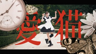 Kakumi｜♡愛猫♡ 原创编舞 🐾