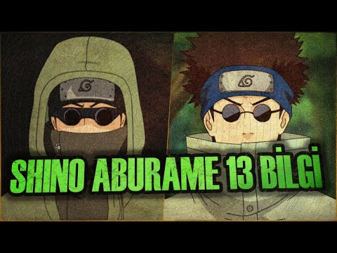 Shino Aburame Hakkinda 13 Bilgi - Bilibili Shino Aburame Hakkinda 13 Bilgi - Bilibili