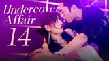 🇨🇳l EP14 Undercover Affair l2024 [SOFTCODED SUB]