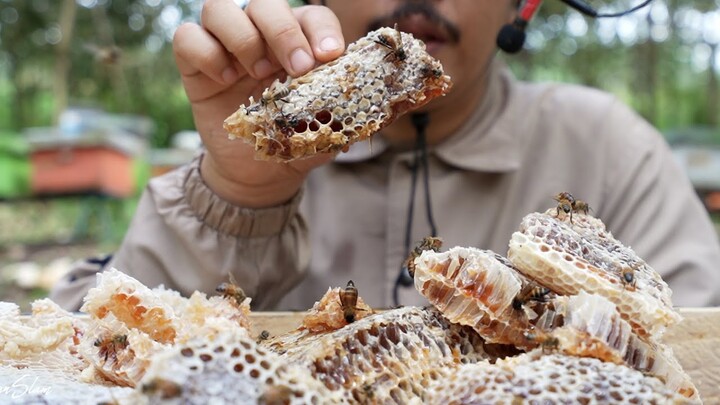 ASMR HONEYCOMB WITH FOREST BEES | EATING HONEYCOMB ASMR | HARVESTING RAW HONEYCOMB