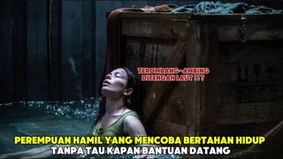 PEREMPUAN HAMIL YANG TERJEBAK DI DALAM KONTRAINER DITENGAH LAUT _ Alur Cerita Fi