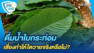 ดื่มน้ำใบกระท่อมเสี่ยงทำให้ไตวายจริงหรือไม่? | รู้ทันกันได้