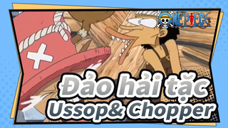 Đảo hải tặc |【Vui nhộn】Ussop, cậu có chắc đây không phải cách tồi để dạy Chopper