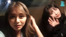 tzuyu & momo vlive