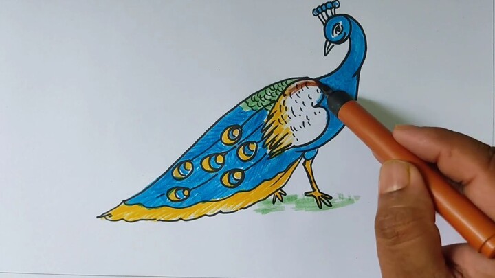 Easy peacock drawing from 39.39 দিয়ে সহজে ময়ূর পাখি আঁকা শিখুন। ছবি আকাঁ শেখা। d