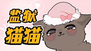 猫：从此我不用再流浪，你的灵魂也不再漂泊...