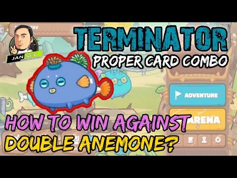 DAP GAMEPLAY | HOW TO WIN AGAINST DOUBLE ANEMONE BACKLANE | TERMINATOR GAMEPLAY