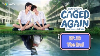 [Eng Sub] Caged Again บอกกรงๆว่ารักเธอ | EP.10 ตอนจบ