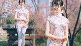 [Dance] เต้นเพลง Tao Hua Xiao ท่ามกลางดอกไม้ที่บานสะพรั่ง