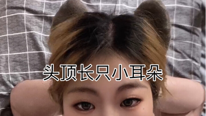 日常练习，白衬衫版