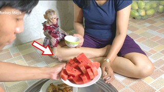 Princes Maya Joining Dinner With Family, Baby Monkey Maya Very Hungry Follow Mama Request Food