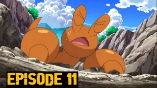 Pokemon: Black and White Episode 11 (Eng Sub)