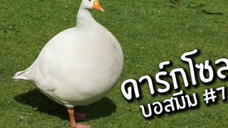 บอสในชีวิตจริง 7 Reddit Review 21