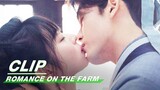 Shen Nuo and Lian Maner Kiss | Romance on the Farm EP18 | 田耕纪 | iQIYI