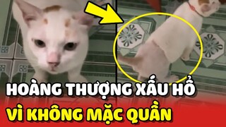 Lý do Hoàng Thượng MẶC ÁO nhưng KHÔNG MẶC QUẦN bị XẤU HỔ với mọi người 😂 | Yêu Lu