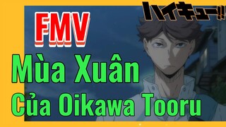 [Haikyu!!] FMV | Mùa Xuân Của Oikawa Tooru