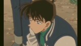 The relationship between Shinichi and Ran is a feeling I can understand but cannot possess. You will